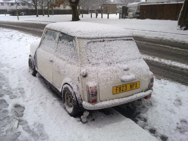 Mini in the snow 2.jpg