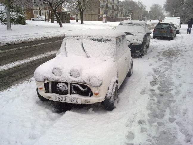 Mini in the snow 1.jpg